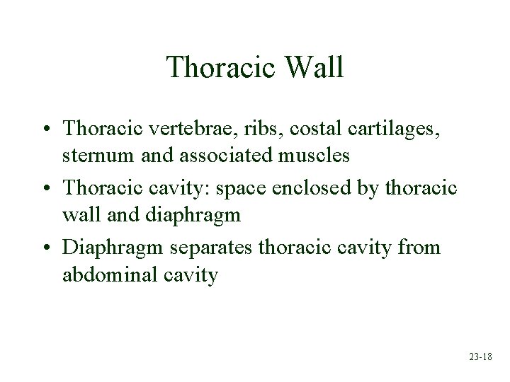 Thoracic Wall • Thoracic vertebrae, ribs, costal cartilages, sternum and associated muscles • Thoracic