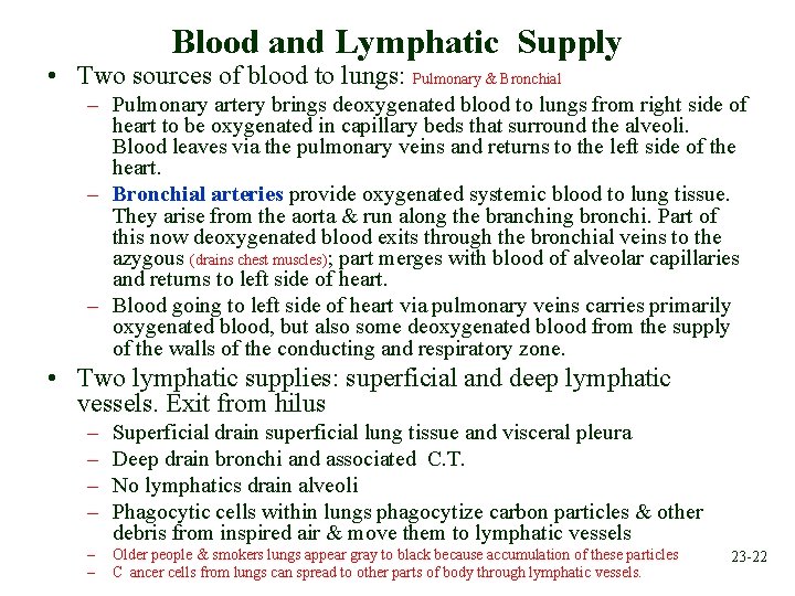 Blood and Lymphatic Supply • Two sources of blood to lungs: Pulmonary & Bronchial