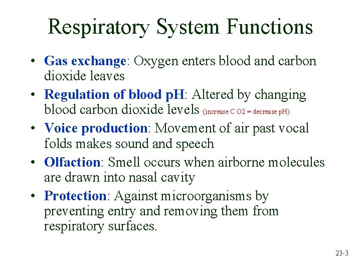 Respiratory System Functions • Gas exchange: Oxygen enters blood and carbon dioxide leaves •