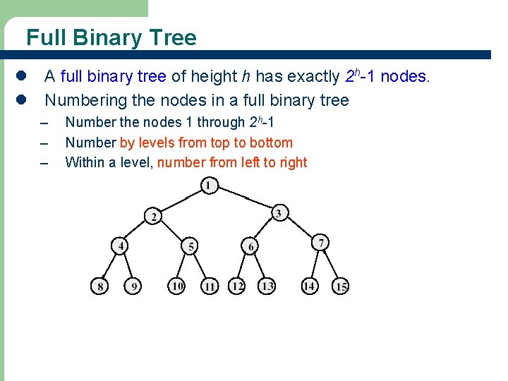 Full Binary Tree l A full binary tree of height h has exactly 2