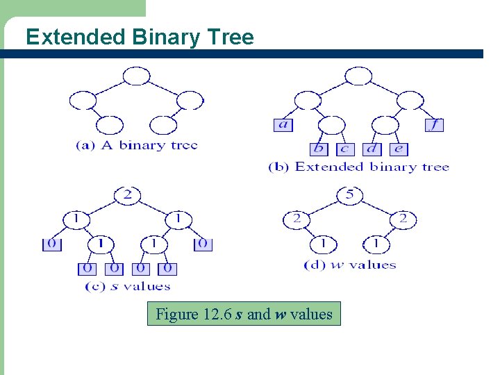 Extended Binary Tree Figure 12. 6 s and w values 