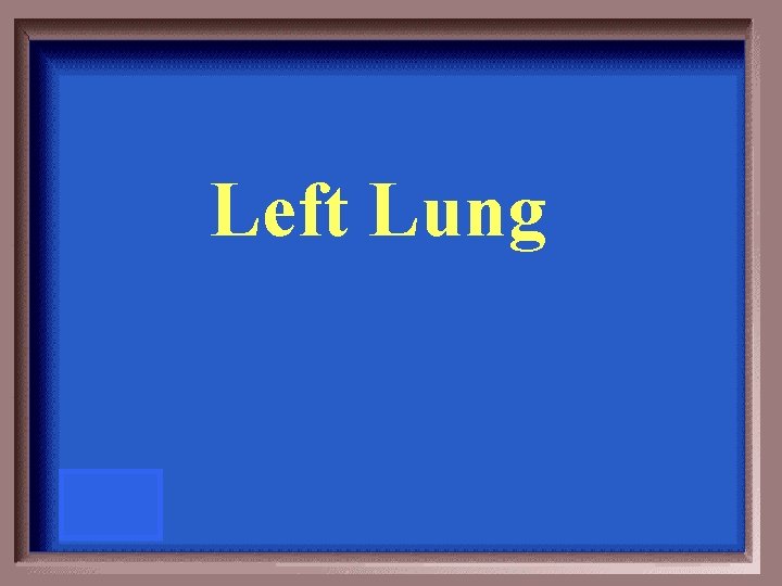 Left Lung 