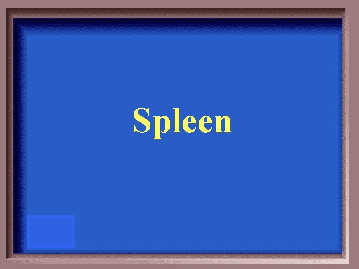 Spleen 