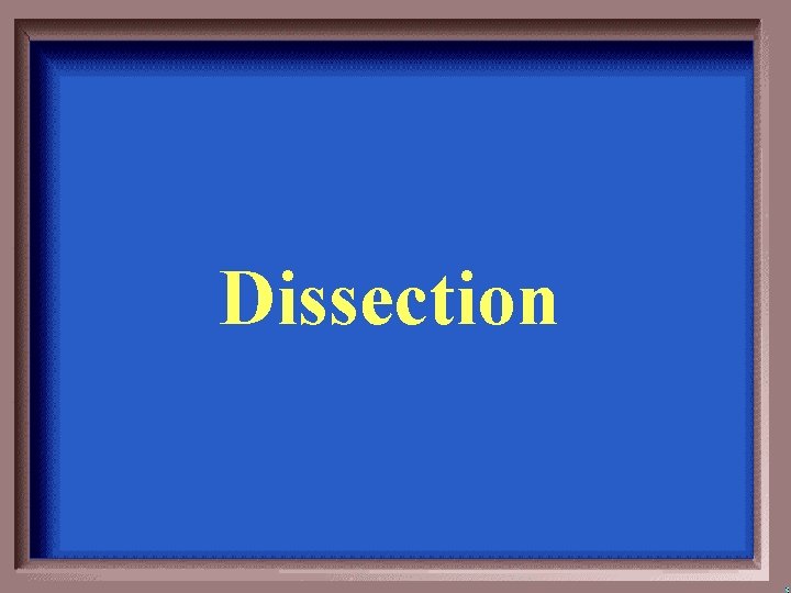 Dissection 