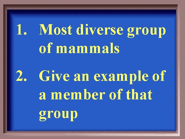 1. Most diverse group of mammals 2. Give an example of a member of
