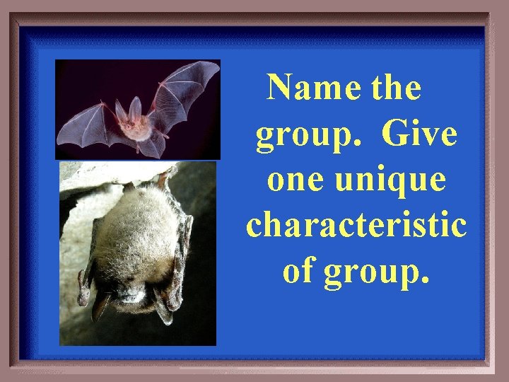 Name the group. Give one unique characteristic of group. 