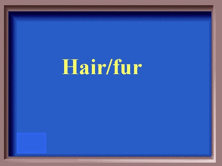 Hair/fur 