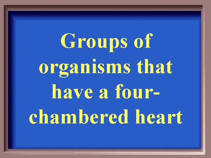 Groups of organisms that have a fourchambered heart 