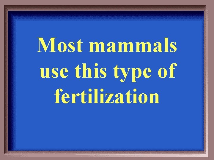 Most mammals use this type of fertilization 