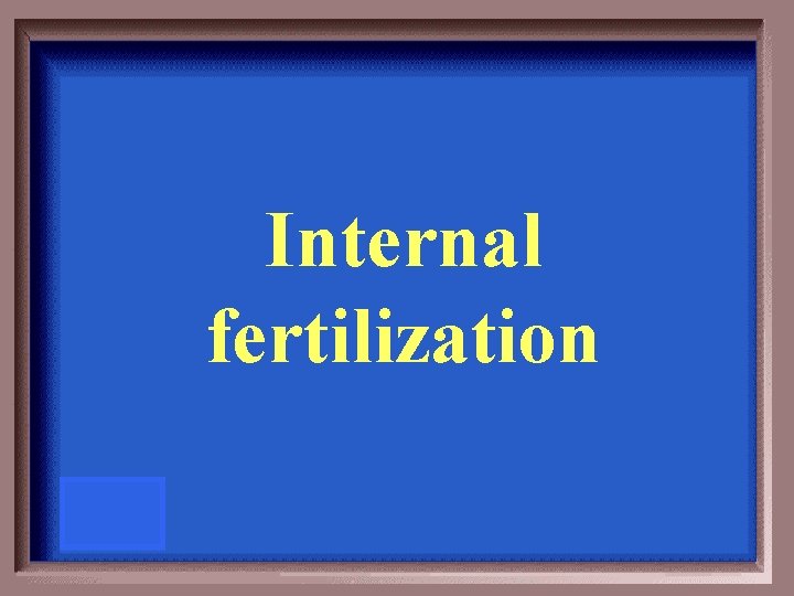 Internal fertilization 