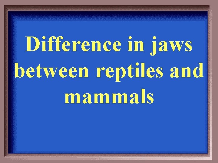 Difference in jaws between reptiles and mammals 