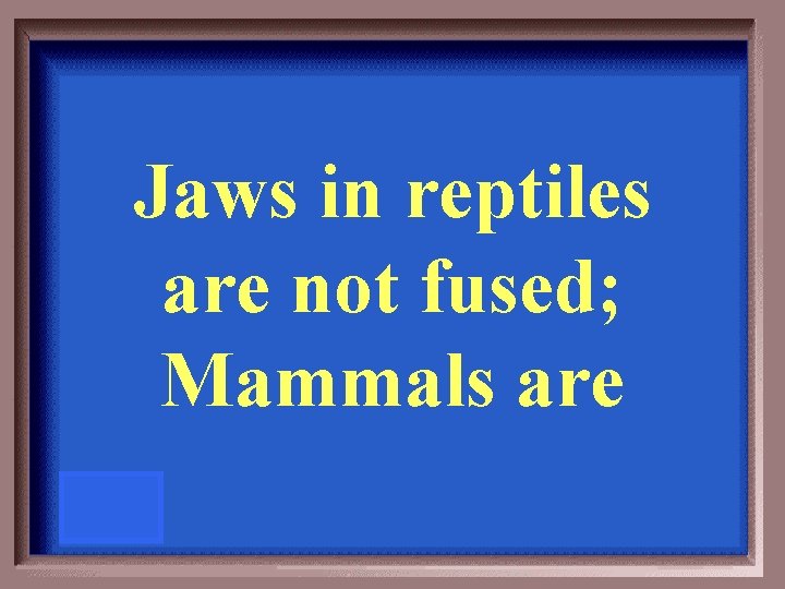 Jaws in reptiles are not fused; Mammals are 