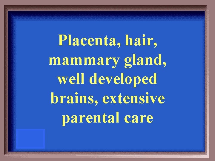 Placenta, hair, mammary gland, well developed brains, extensive parental care 