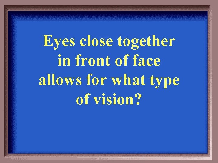 Eyes close together in front of face allows for what type of vision? 