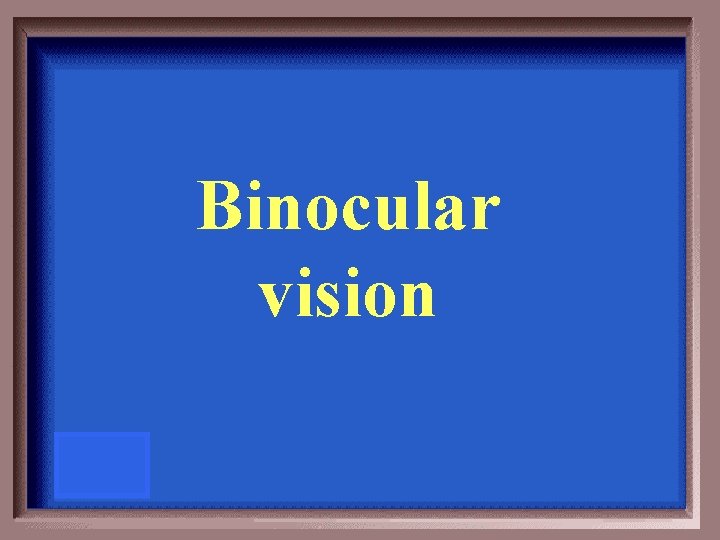 Binocular vision 