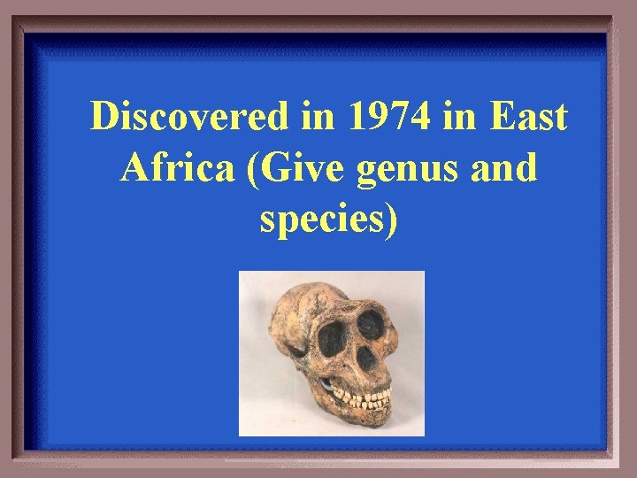 Discovered in 1974 in East Africa (Give genus and species) 