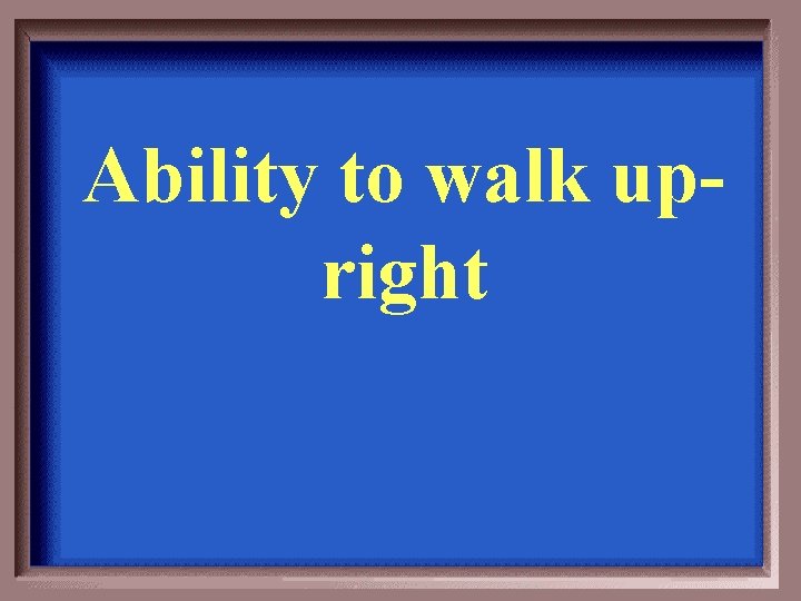 Ability to walk upright 