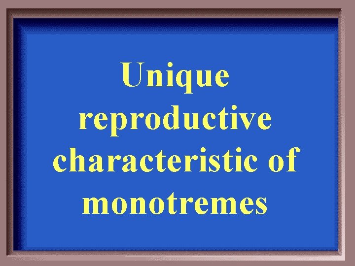 Unique reproductive characteristic of monotremes 