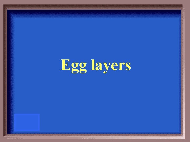 Egg layers 