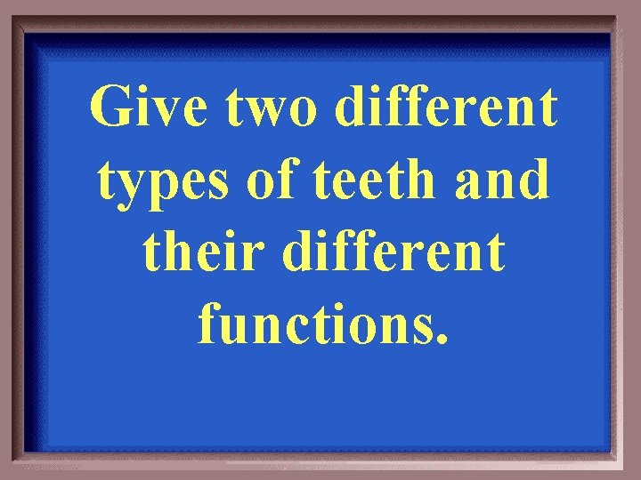 Give two different types of teeth and their different functions. 