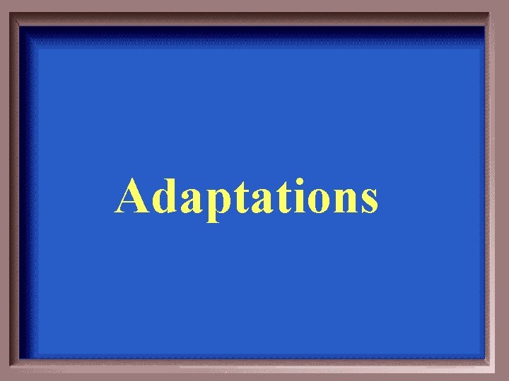 Adaptations 