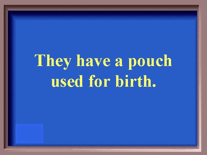 They have a pouch used for birth. 