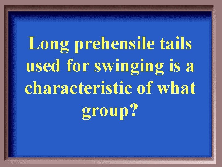 Long prehensile tails used for swinging is a characteristic of what group? 