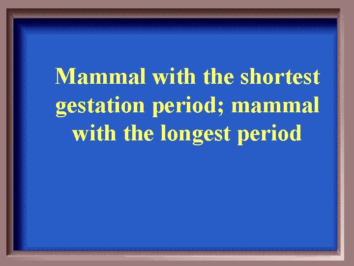 Mammal with the shortest gestation period; mammal with the longest period 