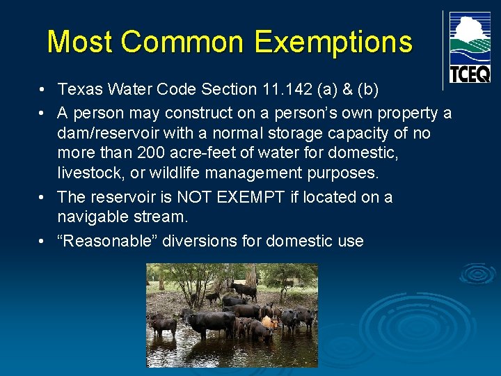 Most Common Exemptions • Texas Water Code Section 11. 142 (a) & (b) • Most Common Exemptions • Texas Water Code Section 11. 142 (a) & (b) •