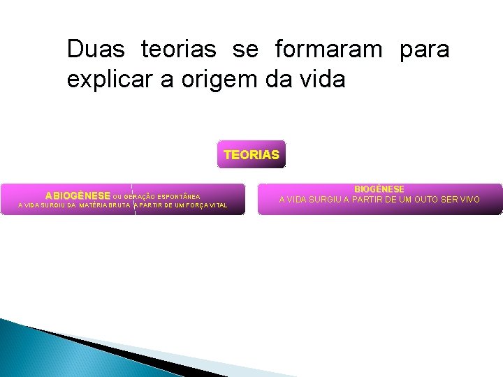 Duas teorias se formaram para explicar a origem da vida TEORIAS ABIOGÊNESE OU GERAÇÃO