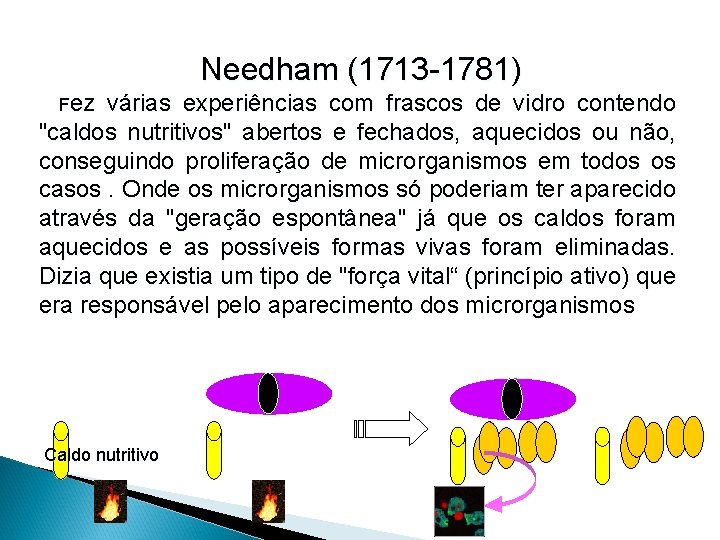 Needham (1713 -1781) Fez várias experiências com frascos de vidro contendo "caldos nutritivos" abertos
