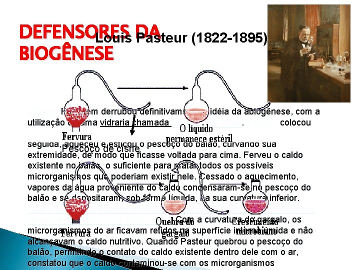 DEFENSORES Louis DA Pasteur (1822 -1895) BIOGÊNESE Louis Pasteur Foi quem derrubou definitivamente a