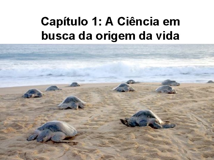 Capítulo 1: A Ciência em busca da origem da vida 