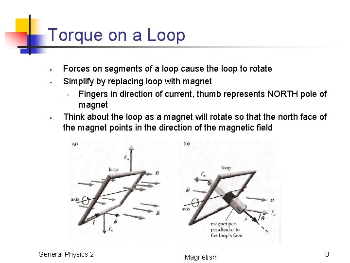 Torque on a Loop • • • Forces on segments of a loop cause