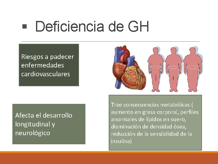 § Deficiencia de GH Riesgos a padecer enfermedades cardiovasculares Afecta el desarrollo longitudinal y