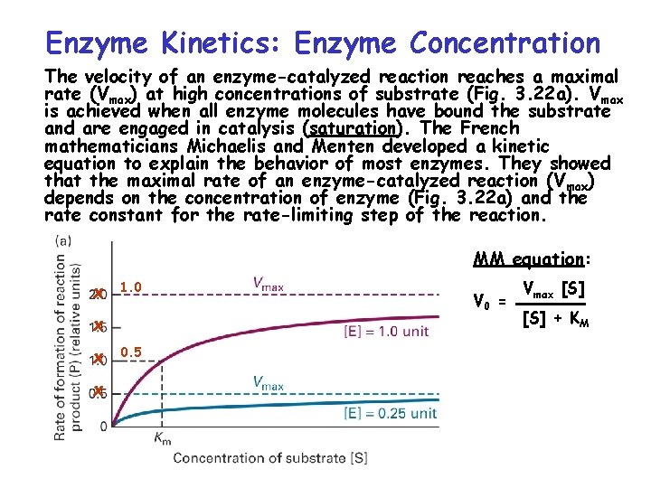 Enzyme Kinetics: Enzyme Concentration The velocity of an enzyme-catalyzed reaction reaches a maximal rate