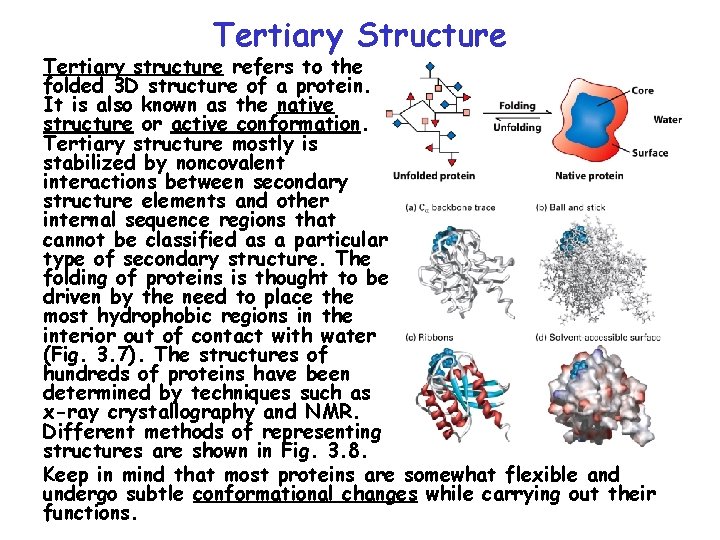 Tertiary Structure Tertiary structure refers to the folded 3 D structure of a protein.