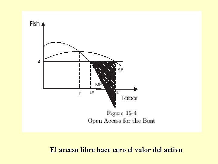 El acceso libre hace cero el valor del activo 