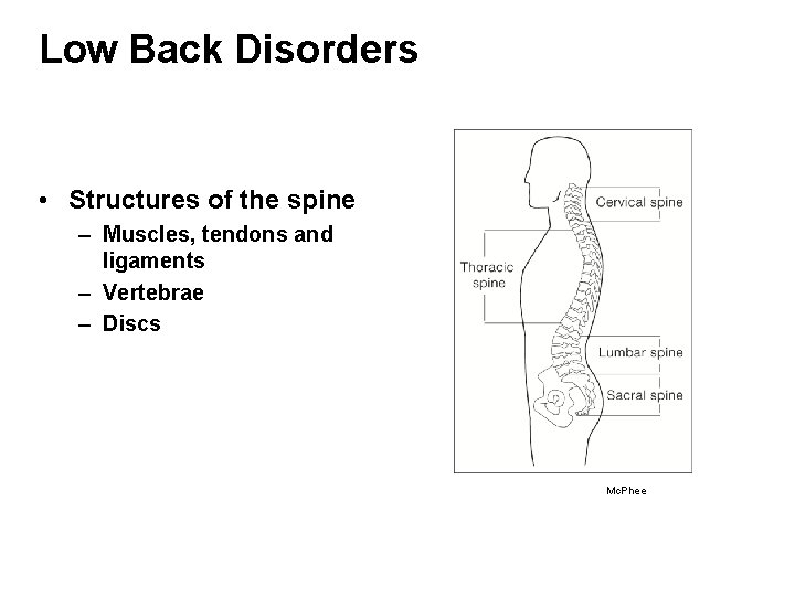 Low Back Disorders • Structures of the spine – Muscles, tendons and ligaments –
