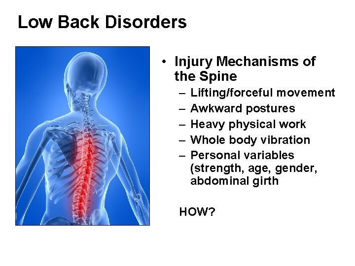 Low Back Disorders • Injury Mechanisms of the Spine – – – Lifting/forceful movement