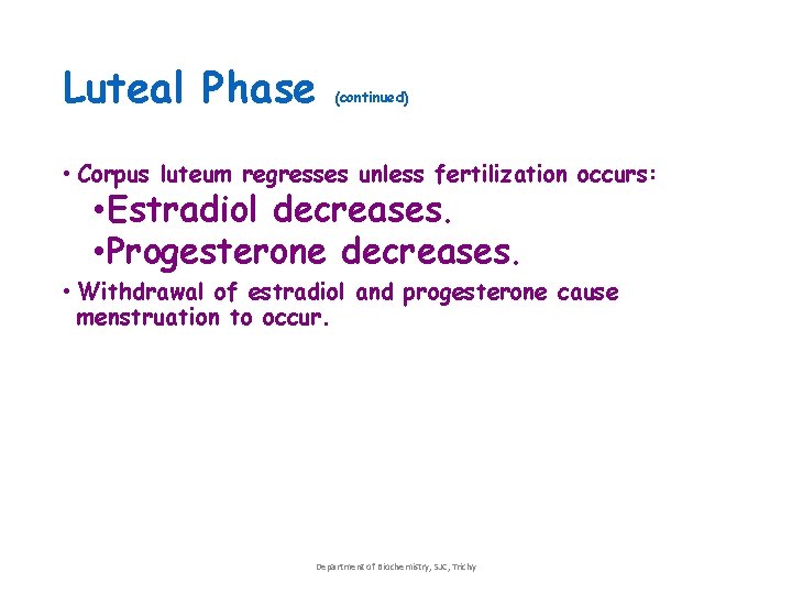 Luteal Phase (continued) • Corpus luteum regresses unless fertilization occurs: • Estradiol decreases. • Luteal Phase (continued) • Corpus luteum regresses unless fertilization occurs: • Estradiol decreases. •