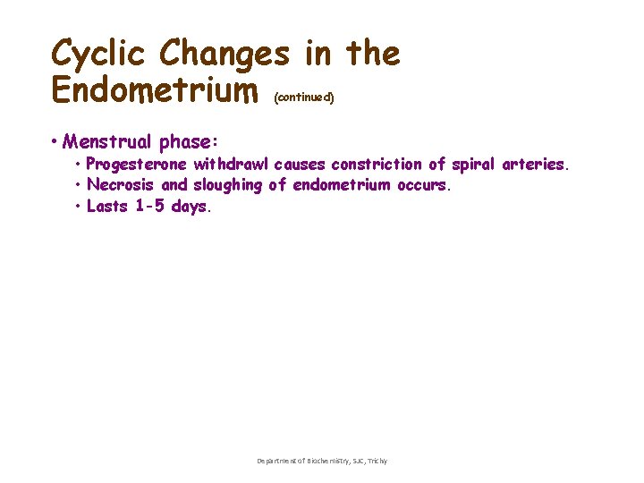 Cyclic Changes in the Endometrium (continued) • Menstrual phase: • Progesterone withdrawl causes constriction Cyclic Changes in the Endometrium (continued) • Menstrual phase: • Progesterone withdrawl causes constriction