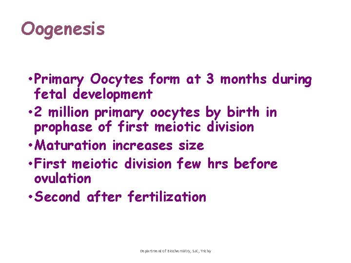 Oogenesis • Primary Oocytes form at 3 months during fetal development • 2 million Oogenesis • Primary Oocytes form at 3 months during fetal development • 2 million