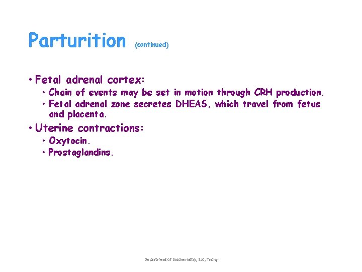Parturition (continued) • Fetal adrenal cortex: • Chain of events may be set in Parturition (continued) • Fetal adrenal cortex: • Chain of events may be set in