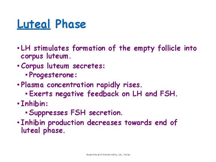 Luteal Phase • LH stimulates formation of the empty follicle into corpus luteum. • Luteal Phase • LH stimulates formation of the empty follicle into corpus luteum. •