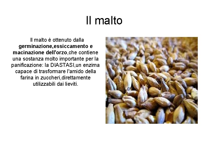 Il malto è ottenuto dalla germinazione, essiccamento e macinazione dell'orzo, che contiene una sostanza