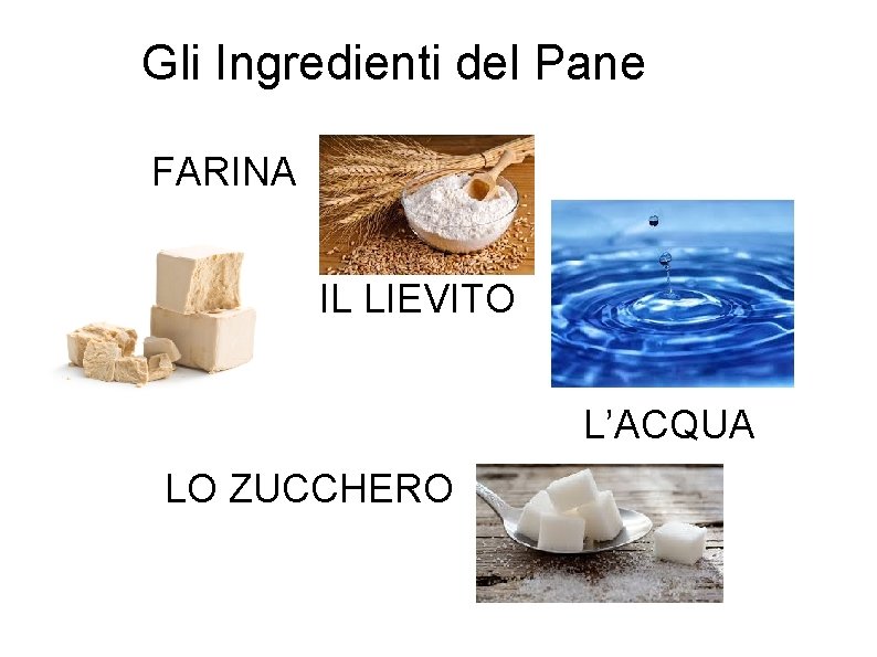 Gli Ingredienti del Pane FARINA IL LIEVITO L’ACQUA LO ZUCCHERO 