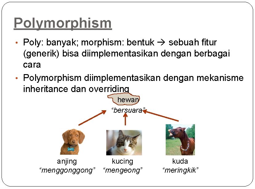 Polymorphism • Poly: banyak; morphism: bentuk sebuah fitur (generik) bisa diimplementasikan dengan berbagai cara