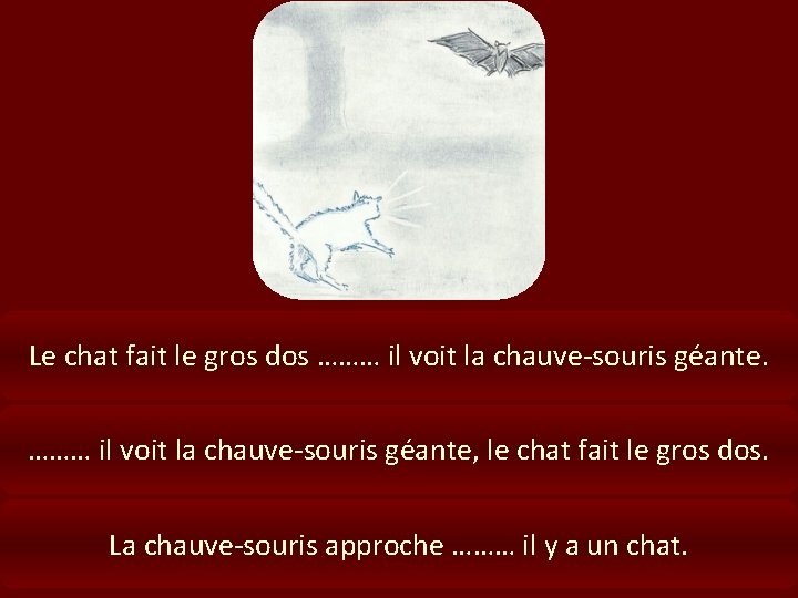 Le chat fait le gros dos ……… il voit la chauve-souris géante, le chat