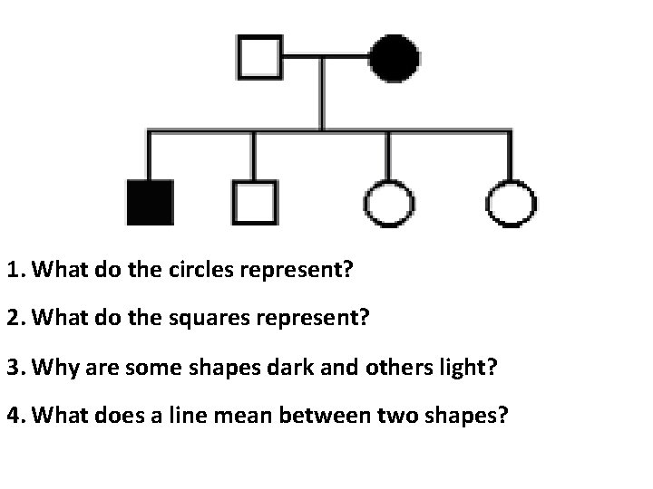 1. What do the circles represent? 2. What do the squares represent? 3. Why